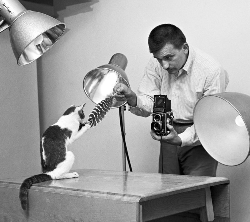 Walter Chandoha plays with one of his subjects at his home studio in 1955.
