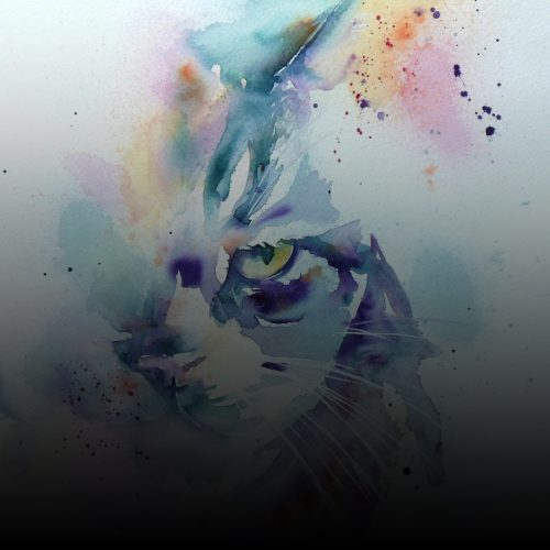 Liz Chaderton Feline Wonders