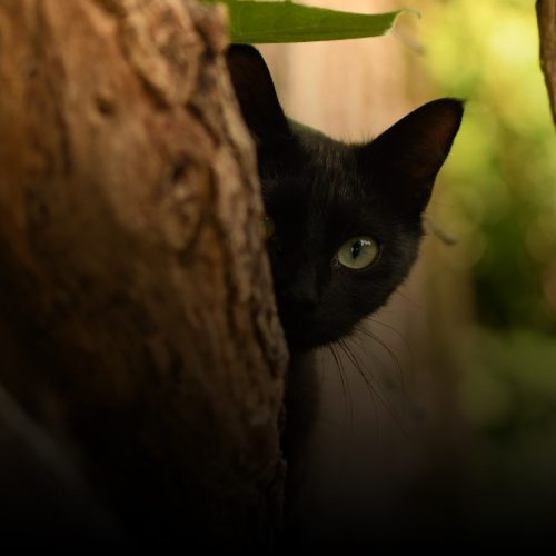 Tiziana-Valeriano_Anime-Libere_Giada-1-scaled-e1763818461406