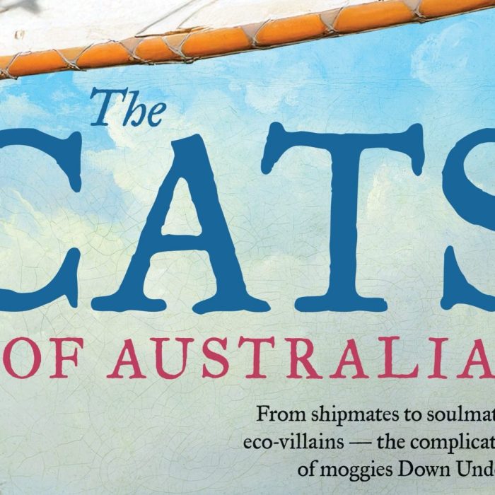 The Cats of Australia cover