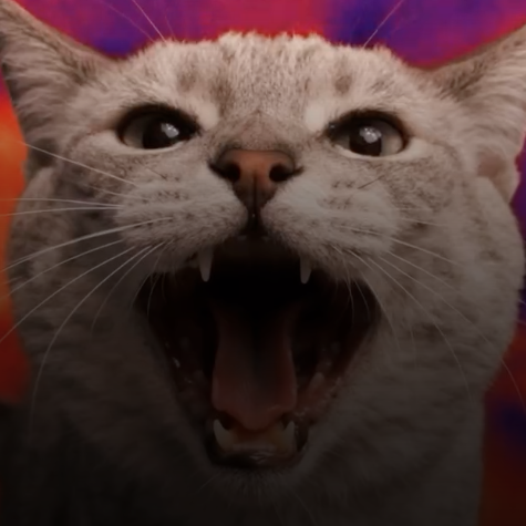 heart shaped box cover