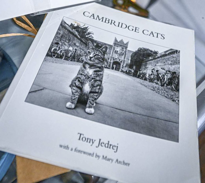 cambridge cats by tony jedrej book cover