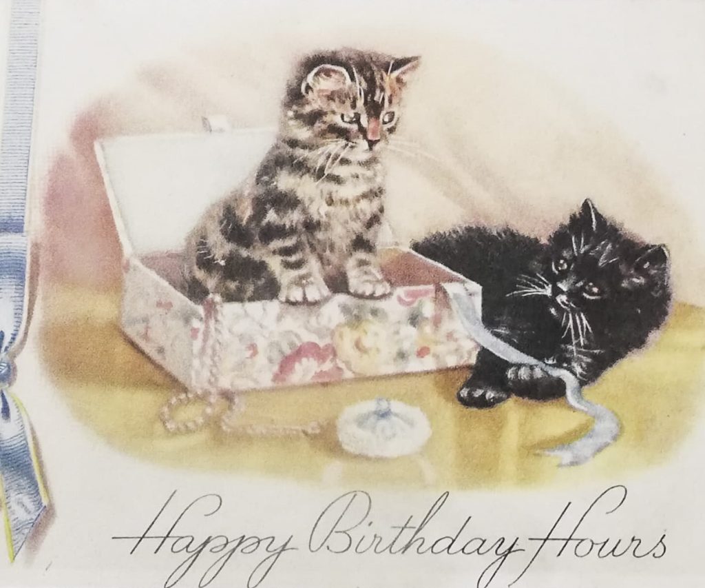birthday cat card
